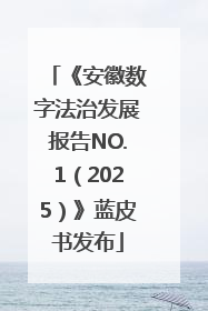 《安徽数字法治发展报告NO.1（2025）》蓝皮书发布