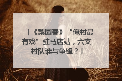 《梨园春》“俺村最有戏”驻马店站，六支村队谁与争锋？