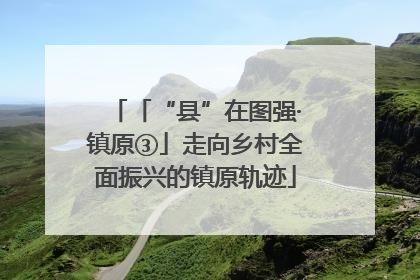 「“县”在图强·镇原③」走向乡村全面振兴的镇原轨迹