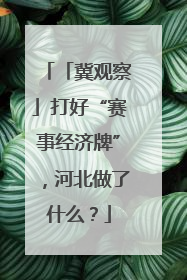 「冀观察」打好“赛事经济牌”，河北做了什么？