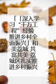 「深入学习“千万工程”经验 推进乡村全面振兴」和美荔城 共富共美 荔城区扎实推进乡村振兴工作