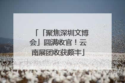 「聚焦深圳文博会」圆满收官！云南展团收获颇丰