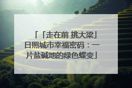 「走在前 挑大梁」日照城市幸福密码：一片盐碱地的绿色蝶变