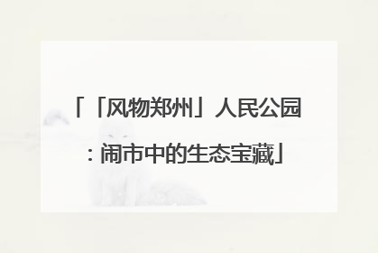 「风物郑州」人民公园：闹市中的生态宝藏