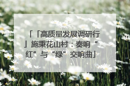 「高质量发展调研行」施秉花山村：奏响“红”与“绿”交响曲