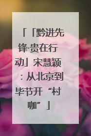 「黔进先锋·贵在行动」宋慧颖：从北京到毕节开“村咖”