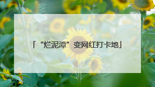 “烂泥潭”变网红打卡地