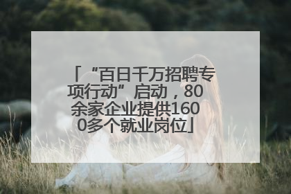 “百日千万招聘专项行动”启动，80余家企业提供1600多个就业岗位