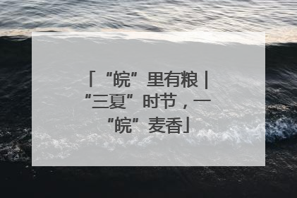 “皖”里有粮｜“三夏”时节，一“皖”麦香