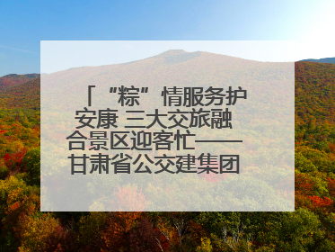 “粽”情服务护安康 三大交旅融合景区迎客忙——甘肃省公交建集团全力做好端午假期景区运营工作