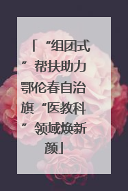 “组团式”帮扶助力鄂伦春自治旗“医教科”领域焕新颜