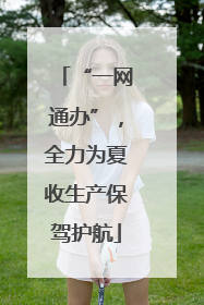 “一网通办”，全力为夏收生产保驾护航