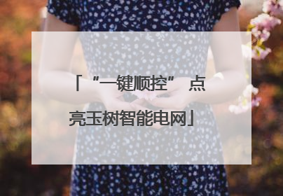 “一键顺控” 点亮玉树智能电网