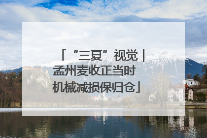 “三夏”视觉｜孟州麦收正当时 机械减损保归仓