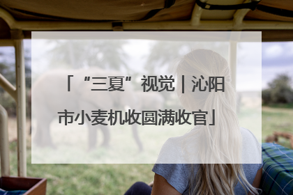 “三夏”视觉｜沁阳市小麦机收圆满收官