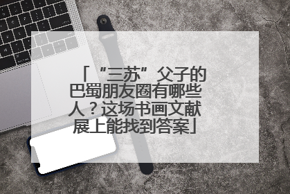 “三苏”父子的巴蜀朋友圈有哪些人？这场书画文献展上能找到答案