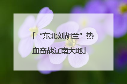 “东北刘胡兰”热血奋战辽南大地