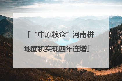 “中原粮仓”河南耕地面积实现四年连增