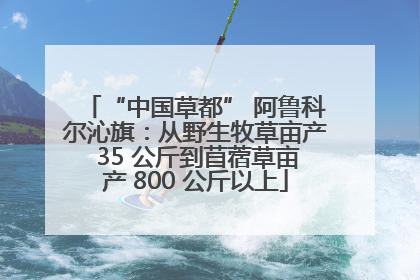 “中国草都” 阿鲁科尔沁旗：从野生牧草亩产 35 公斤到苜蓿草亩产 800 公斤以上