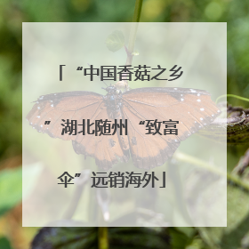 “中国香菇之乡”湖北随州“致富伞”远销海外