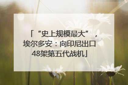 “史上规模最大”，埃尔多安：向印尼出口48架第五代战机