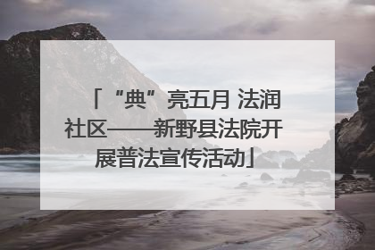 “典”亮五月 法润社区——新野县法院开展普法宣传活动