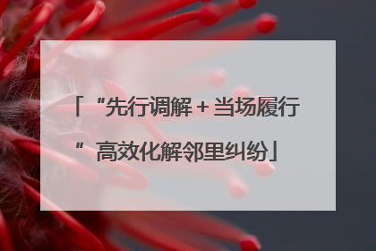 “先行调解＋当场履行”高效化解邻里纠纷