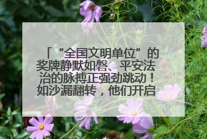 “全国文明单位”的奖牌静默如磐、平安法治的脉搏正强劲跳动！如沙漏翻转，他们开启了全新的计时