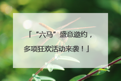 “六马”盛意邀约，多项狂欢活动来袭！