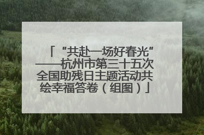 “共赴一场好春光”——杭州市第三十五次全国助残日主题活动共绘幸福答卷（组图）