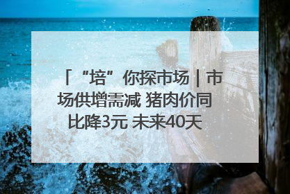 “培”你探市场｜市场供增需减 猪肉价同比降3元 未来40天便宜猪肉敞开吃