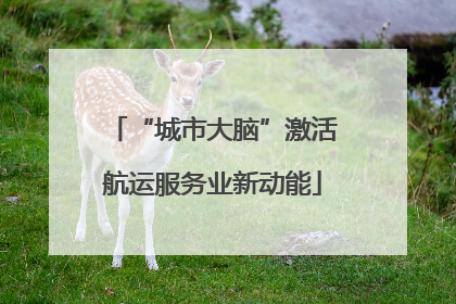 “城市大脑”激活航运服务业新动能