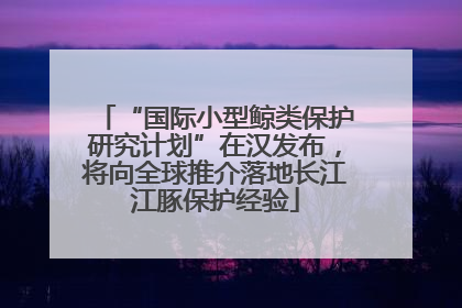 “国际小型鲸类保护研究计划”在汉发布，将向全球推介落地长江江豚保护经验