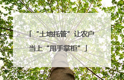 “土地托管”让农户当上“甩手掌柜”