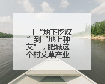 “地下挖煤”到“地上种艾”，肥城这个村艾草产业收入破千万