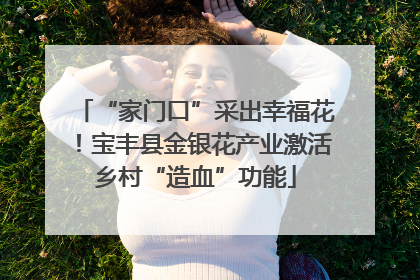 “家门口”采出幸福花！宝丰县金银花产业激活乡村“造血”功能