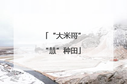 “大米哥”“慧”种田