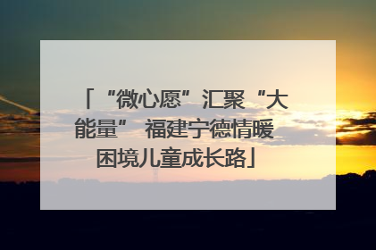 “微心愿”汇聚“大能量” 福建宁德情暖困境儿童成长路