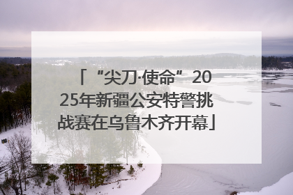 “尖刀·使命”2025年新疆公安特警挑战赛在乌鲁木齐开幕