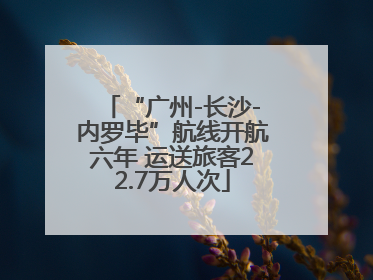 “广州-长沙-内罗毕”航线开航六年 运送旅客22.7万人次