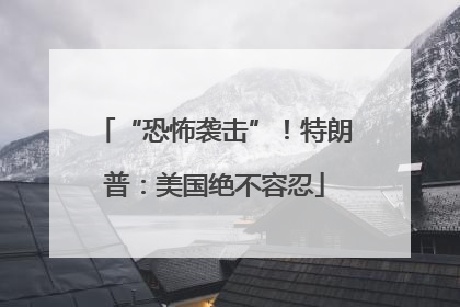 “恐怖袭击”！特朗普：美国绝不容忍