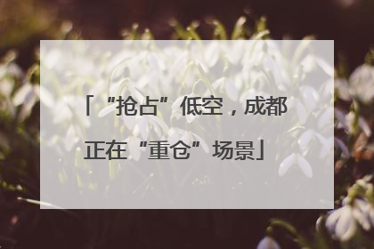 “抢占”低空，成都正在“重仓”场景