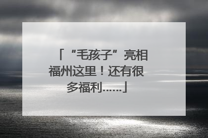 “毛孩子”亮相福州这里！还有很多福利……