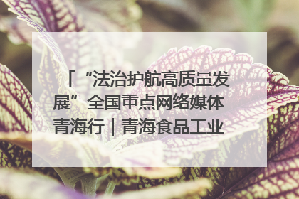 “法治护航高质量发展”全国重点网络媒体青海行｜青海食品工业协会：架起“青字号”美食的产业化桥梁