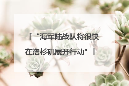 “海军陆战队将很快在洛杉矶展开行动”