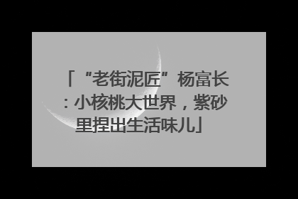 “老街泥匠”杨富长：小核桃大世界，紫砂里捏出生活味儿