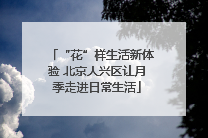 “花”样生活新体验 北京大兴区让月季走进日常生活