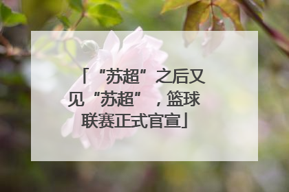 “苏超”之后又见“苏超”，篮球联赛正式官宣