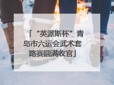 “英派斯杯”青岛市六运会武术套路赛圆满收官