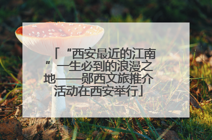 “西安最近的江南”一生必到的浪漫之地——郧西文旅推介活动在西安举行